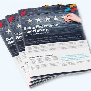 Sales Excellence Benchmark b2b whitepaper cover